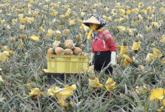 雷科鄭再興董事長捐助國立中山大學管學院「農村創新、公益轉型」計畫。