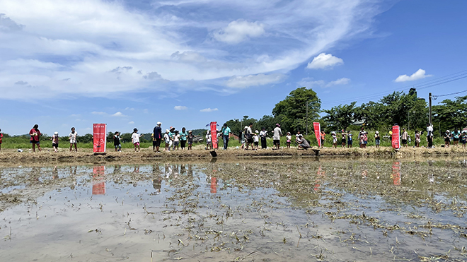 雷科攜手中山大學辦理鳳林國小向日葵活力營種夏活動。