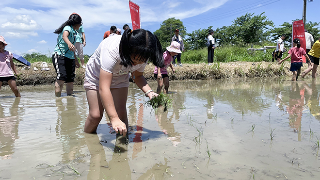雷科攜手中山大學辦理鳳林國小向日葵活力營種夏活動。