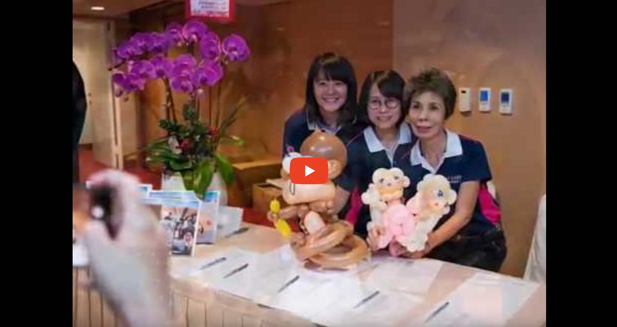 2018/09/08 - 30th Anniversary Highlights Video