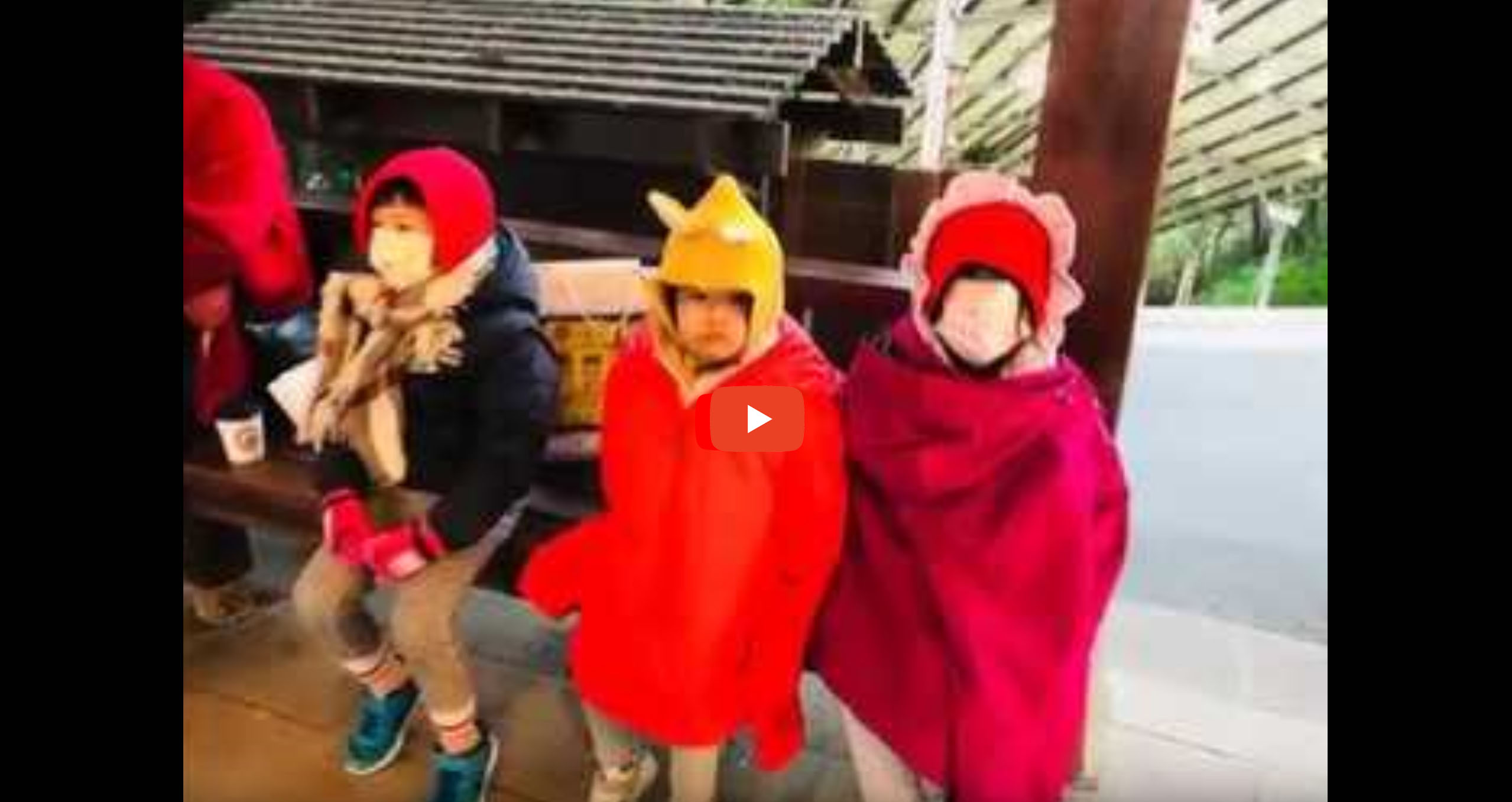 2019/03/29 Alishan Cherry Blossom Two-day Tour