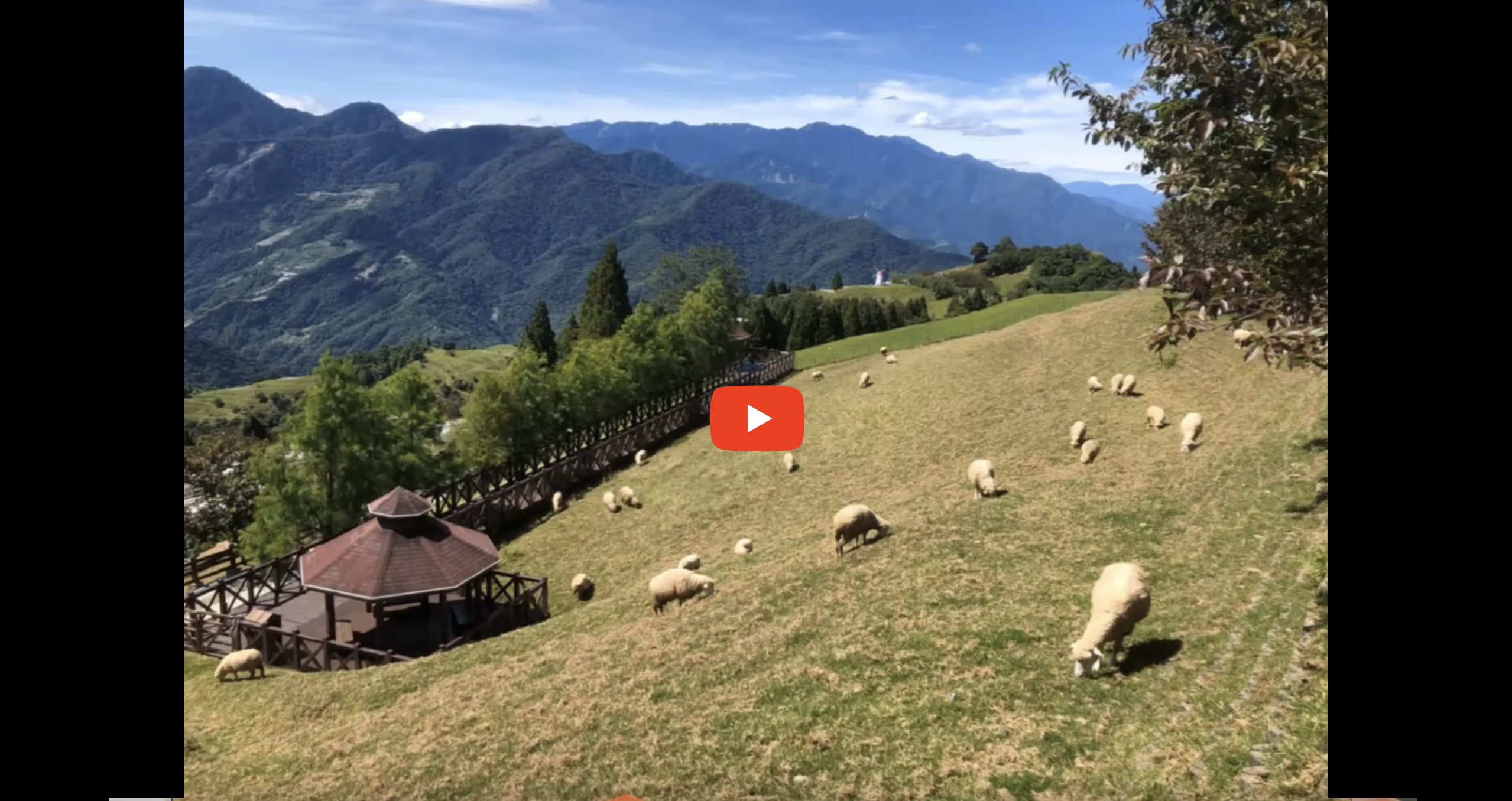 2020 Tongyuan Forest Recreation Area & Deer Ecological Park One-day Tour