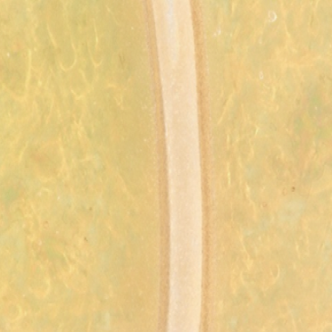 Protective film cutting